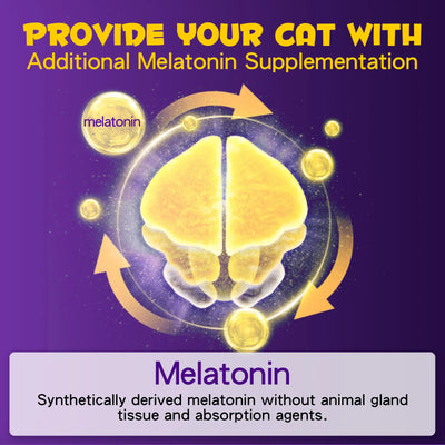 Melatonin for Cats Sleep Aid Supports Healthy Stress Relief Anxiety Relief 100% Natural Liquid Formula Regulates Sleep Patterns