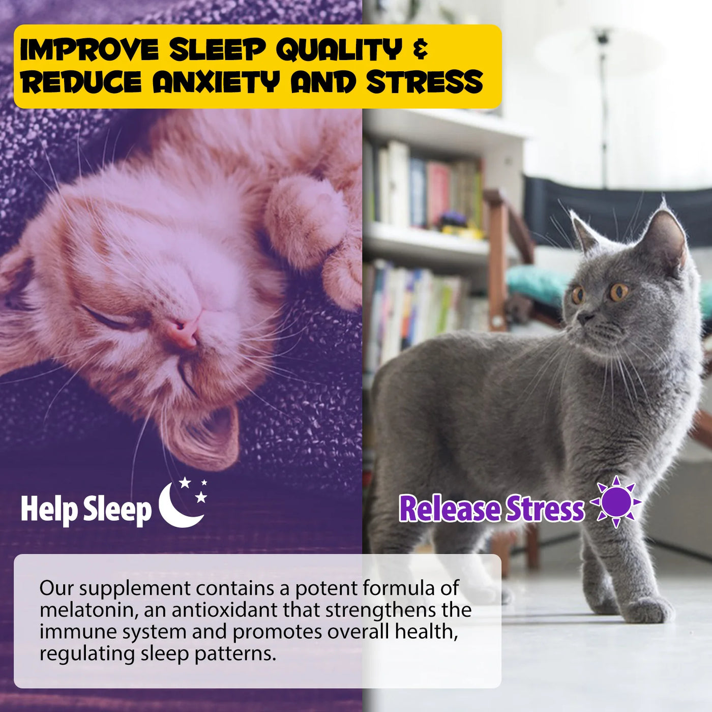 Melatonin for Cats Sleep Aid Supports Healthy Stress Relief Anxiety Relief 100% Natural Liquid Formula Regulates Sleep Patterns